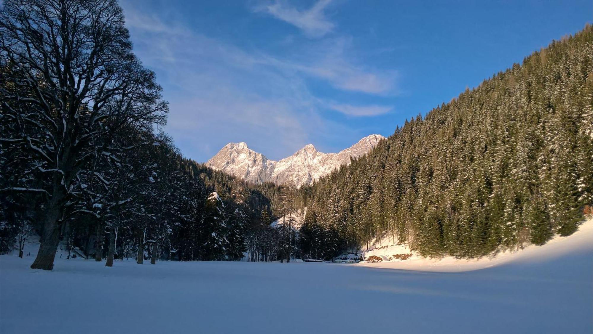 Alpenrose Boutique Chalet Gretl Ramsau am Dachstein Extérieur photo