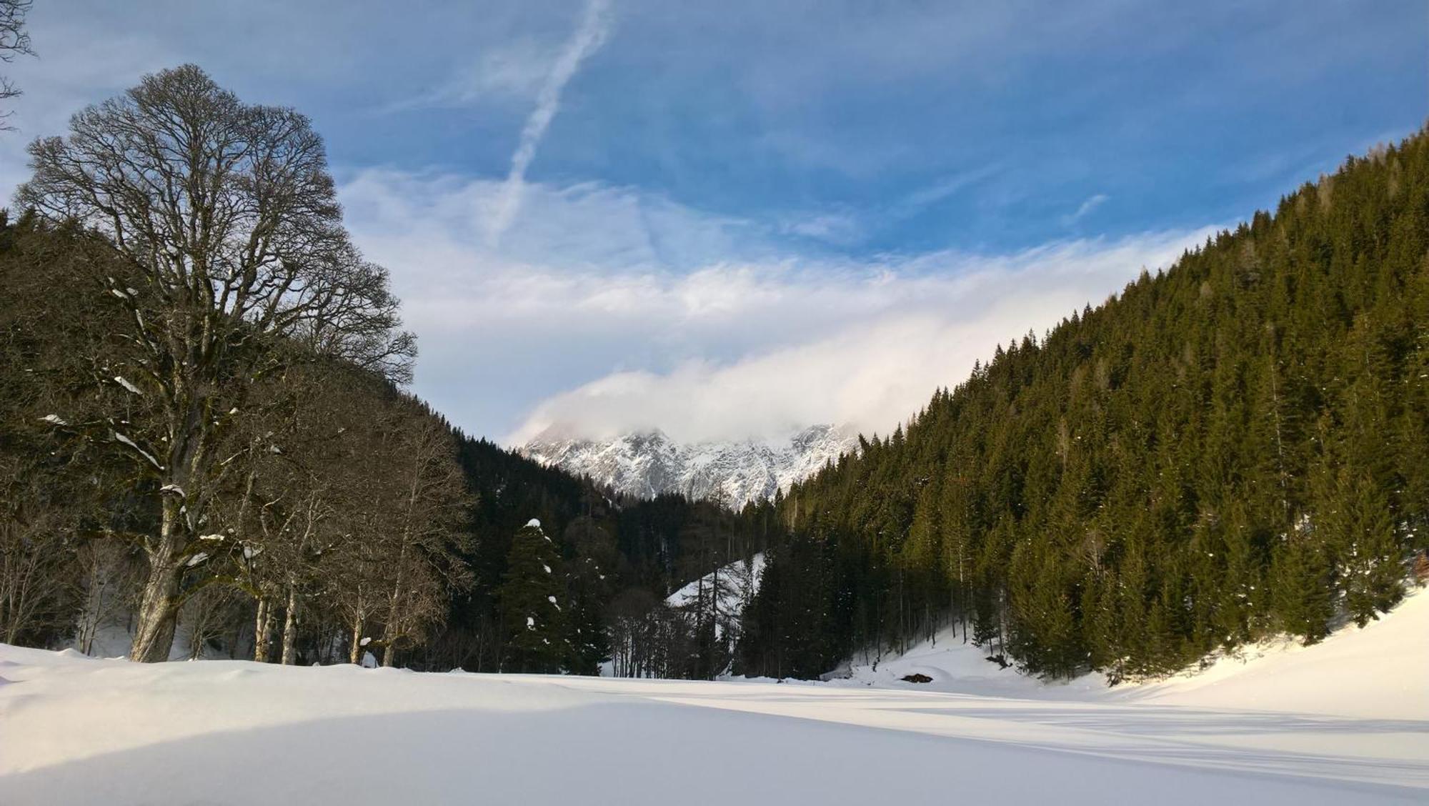 Alpenrose Boutique Chalet Gretl Ramsau am Dachstein Extérieur photo