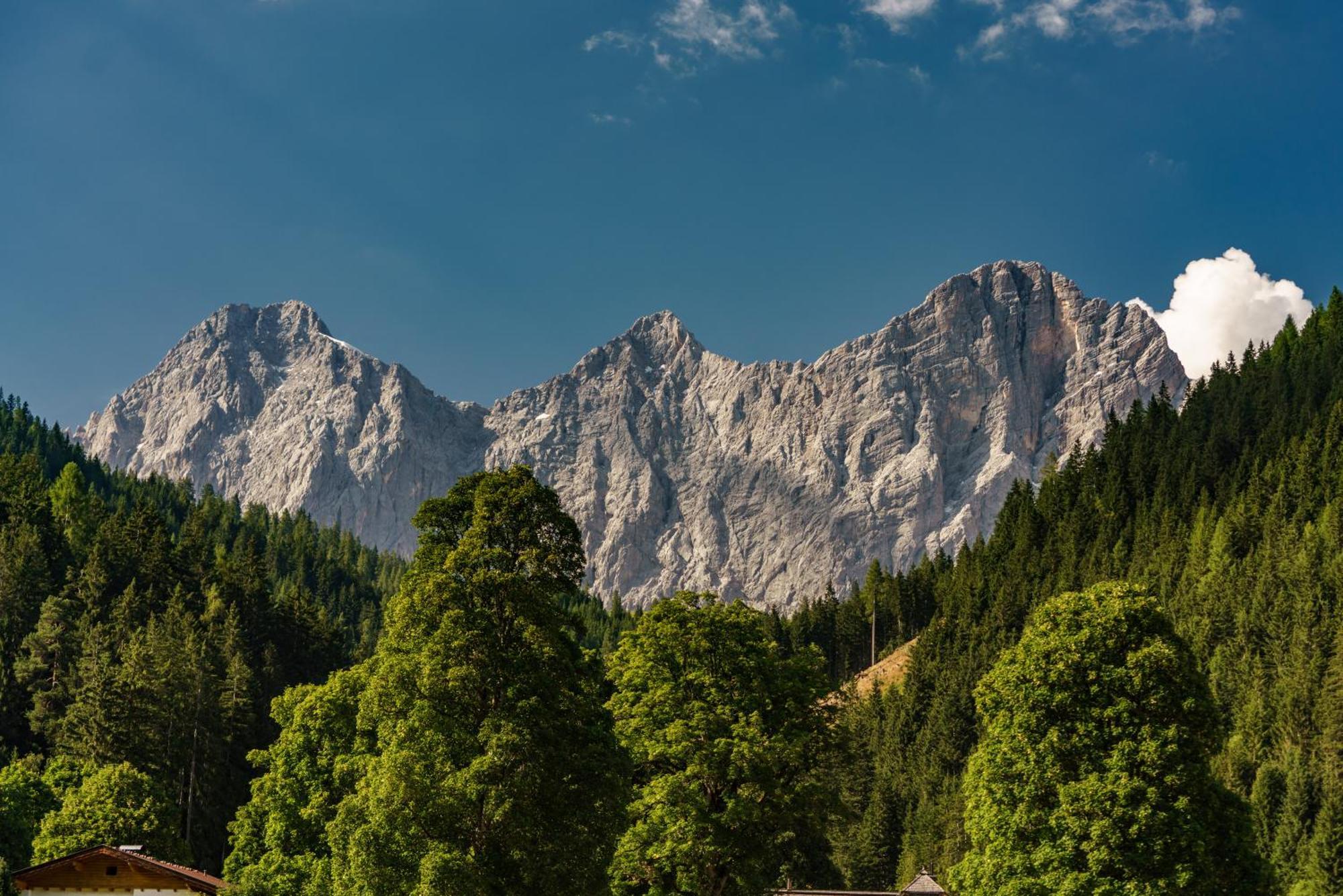 Alpenrose Boutique Chalet Gretl Ramsau am Dachstein Extérieur photo