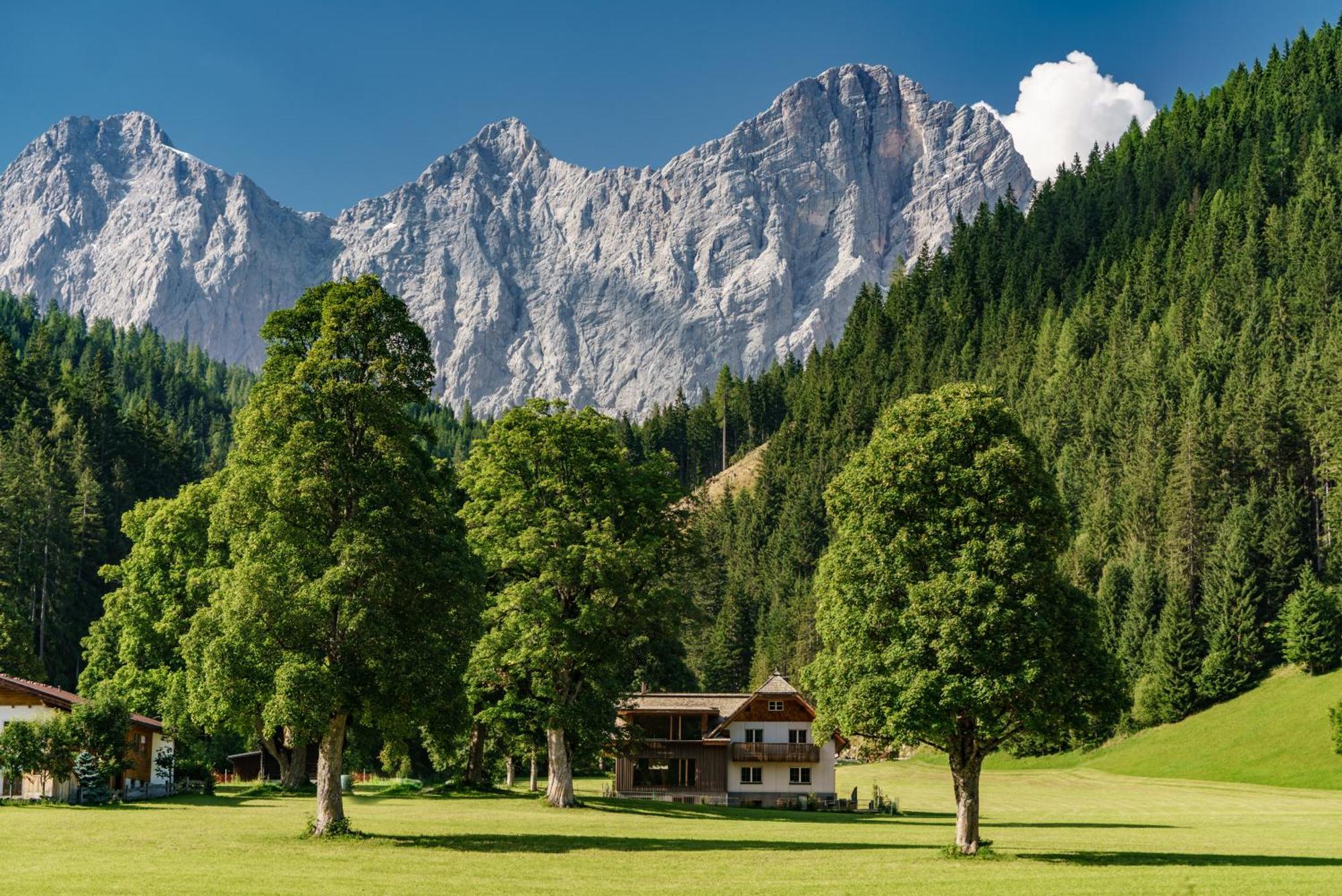 Alpenrose Boutique Chalet Gretl Ramsau am Dachstein Extérieur photo